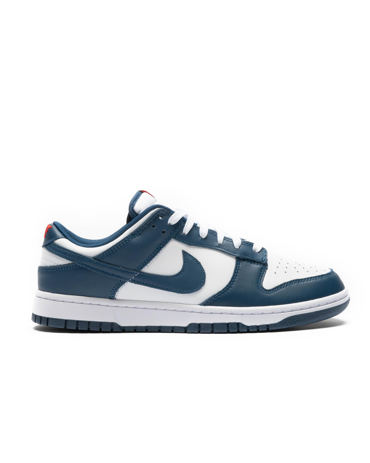 Nike DUNK LOW RETRO | DD1391-400 | AFEW STORE